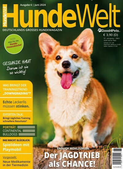 Titelbild der Ausgabe 6/2024 von Hundewelt. Diese Zeitschrift und viele weitere Elternzeitschriften und Tierzeitschriften als Abo oder epaper bei United Kiosk online kaufen.