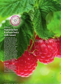 Titelbild der Ausgabe 4/2024 von Natürlicher Krebsschutz süß-sauer. Zeitschriften als Abo oder epaper bei United Kiosk online kaufen.