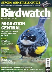 Titelbild der Ausgabe 383/2024 von Birdwatch. Zeitschriften als Abo oder epaper bei United Kiosk online kaufen.