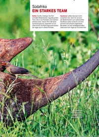 Titelbild der Ausgabe 30/2021 von Unser SOMMER am Meer. Zeitschriften als Abo oder epaper bei United Kiosk online kaufen.