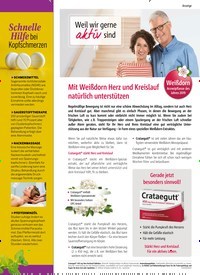 Titelbild der Ausgabe 32/2021 von Lavendel in GEFAHR. Zeitschriften als Abo oder epaper bei United Kiosk online kaufen.