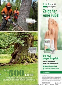 Titelbild der Ausgabe 33/2021 von Wer läuft AMOK?. Zeitschriften als Abo oder epaper bei United Kiosk online kaufen.