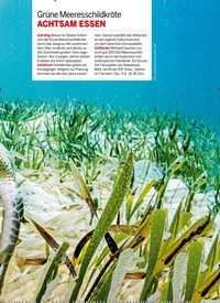 Titelbild der Ausgabe 35/2021 von Bauer Sucht Zukunft. Zeitschriften als Abo oder epaper bei United Kiosk online kaufen.