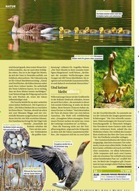Titelbild der Ausgabe 35/2021 von Geld aufs Konto, Eigentum behalten – dank Immobilien- Teilverkauf. Zeitschriften als Abo oder epaper bei United Kiosk online kaufen.