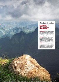Titelbild der Ausgabe 36/2021 von Städte zum Verlieben. Zeitschriften als Abo oder epaper bei United Kiosk online kaufen.