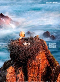 Titelbild der Ausgabe 39/2021 von Die besten TRICKS gegen das Altern. Zeitschriften als Abo oder epaper bei United Kiosk online kaufen.