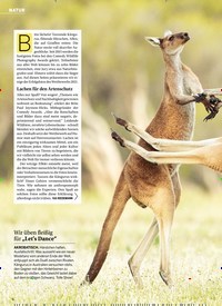 Titelbild der Ausgabe 41/2021 von Die lust igsten TIER- FOTOS der Welt. Zeitschriften als Abo oder epaper bei United Kiosk online kaufen.
