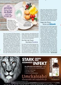 Titelbild der Ausgabe 47/2021 von "JETZT wird gefeiert!“. Zeitschriften als Abo oder epaper bei United Kiosk online kaufen.
