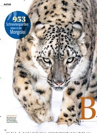 Titelbild der Ausgabe 47/2021 von Geist der Berge. Zeitschriften als Abo oder epaper bei United Kiosk online kaufen.