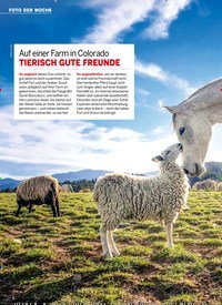 Titelbild der Ausgabe 3/2022 von Auf einer Farm in Colorado. Zeitschriften als Abo oder epaper bei United Kiosk online kaufen.