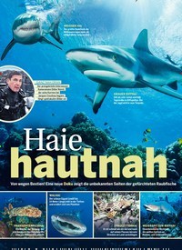 Titelbild der Ausgabe 3/2022 von Haie hautnah. Zeitschriften als Abo oder epaper bei United Kiosk online kaufen.