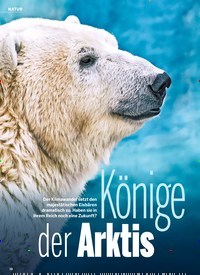 Titelbild der Ausgabe 4/2022 von Könige der Arktis. Zeitschriften als Abo oder epaper bei United Kiosk online kaufen.