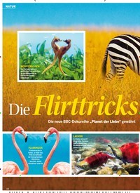 Titelbild der Ausgabe 5/2022 von Die Flirttricks der Tiere. Zeitschriften als Abo oder epaper bei United Kiosk online kaufen.