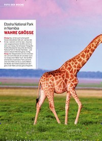 Titelbild der Ausgabe 9/2022 von Etosha National Park in Namibia WAHRE GRÖSSE. Zeitschriften als Abo oder epaper bei United Kiosk online kaufen.