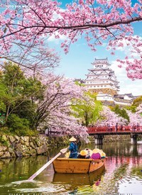 Titelbild der Ausgabe 14/2022 von Kirschblüte in Japan ZAUBER IN ZARTROSA. Zeitschriften als Abo oder epaper bei United Kiosk online kaufen.