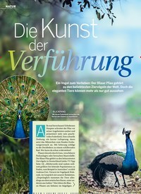 Titelbild der Ausgabe 15/2022 von Die Kunst der Verführung. Zeitschriften als Abo oder epaper bei United Kiosk online kaufen.