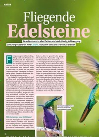 Titelbild der Ausgabe 17/2022 von Fliegende Edelsteine. Zeitschriften als Abo oder epaper bei United Kiosk online kaufen.