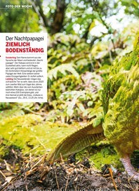Titelbild der Ausgabe 21/2022 von ZIEMLICH BODENSTÄNDIG. Zeitschriften als Abo oder epaper bei United Kiosk online kaufen.