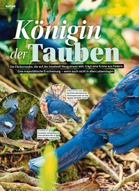 Titelbild der Ausgabe 22/2022 von Königin der Tauben. Zeitschriften als Abo oder epaper bei United Kiosk online kaufen.