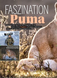 Titelbild der Ausgabe 24/2022 von FASZINATION Puma. Zeitschriften als Abo oder epaper bei United Kiosk online kaufen.