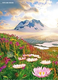 Titelbild der Ausgabe 25/2022 von Sommer in Alaska EISBLÜTEN. Zeitschriften als Abo oder epaper bei United Kiosk online kaufen.