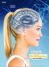 Titelbild der Ausgabe 27/2022 von So bleibt Ihr GEHIRN jung & fit. Zeitschriften als Abo oder epaper bei United Kiosk online kaufen.