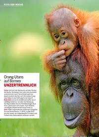 Titelbild der Ausgabe 28/2022 von Orang-Utans auf Borneo UNZERTRENNLICH. Zeitschriften als Abo oder epaper bei United Kiosk online kaufen.