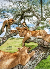 Titelbild der Ausgabe 29/2022 von EINFACH MAL ABHÄNGEN. Zeitschriften als Abo oder epaper bei United Kiosk online kaufen.