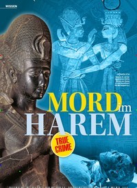 Titelbild der Ausgabe 31/2022 von MORD im HAREM. Zeitschriften als Abo oder epaper bei United Kiosk online kaufen.