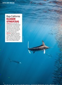 Titelbild der Ausgabe 37/2022 von Baja Califo rnia KLUGE R ST REIFZUG. Zeitschriften als Abo oder epaper bei United Kiosk online kaufen.