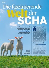 Titelbild der Ausgabe 37/2022 von Die faszinierende Welt der SCHAFE. Zeitschriften als Abo oder epaper bei United Kiosk online kaufen.