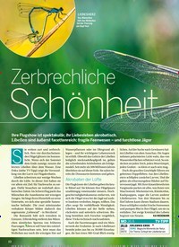 Titelbild der Ausgabe 38/2022 von Zerbrechliche Schönheit. Zeitschriften als Abo oder epaper bei United Kiosk online kaufen.