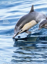 Titelbild der Ausgabe 42/2022 von SCHULE DES LEBENS. Zeitschriften als Abo oder epaper bei United Kiosk online kaufen.