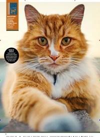Titelbild der Ausgabe 42/2022 von Die Magie der Katzen. Zeitschriften als Abo oder epaper bei United Kiosk online kaufen.