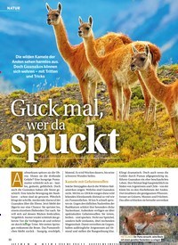 Titelbild der Ausgabe 43/2022 von Guck mal, wer da spuckt. Zeitschriften als Abo oder epaper bei United Kiosk online kaufen.