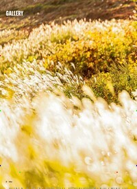 GALLERY Titelbild Ausgabe 2/2026 Titelbild der Ausgabe 2/2026 von GALLERY. Zeitschriften als Abo oder epaper bei United Kiosk online kaufen.