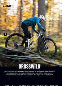 GROSSWILD Titelbild Ausgabe 2/2026 Titelbild der Ausgabe 2/2026 von GROSSWILD. Zeitschriften als Abo oder epaper bei United Kiosk online kaufen.