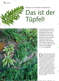 Titelbild der Ausgabe 1/2023 von Das ist der Tüpfel!. Zeitschriften als Abo oder epaper bei United Kiosk online kaufen.