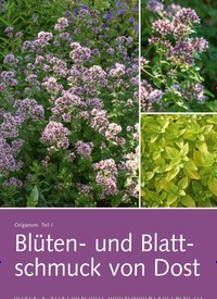 Titelbild der Ausgabe 6/2023 von Blüten- und Blattschmuck von Dost. Zeitschriften als Abo oder epaper bei United Kiosk online kaufen.