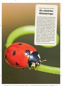 Titelbild der Ausgabe 1/2023 von Ein nützlicher Glücksbringer. Zeitschriften als Abo oder epaper bei United Kiosk online kaufen.