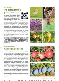 Titelbild der Ausgabe 1/2023 von Im Blickpunkt. Zeitschriften als Abo oder epaper bei United Kiosk online kaufen.