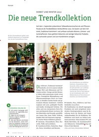 Titelbild der Ausgabe 10/2022 von Die neue Trendkollektion. Zeitschriften als Abo oder epaper bei United Kiosk online kaufen.
