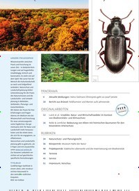 Titelbild der Ausgabe 12/2021 von UR- UND NATURWÄLDER FÜR BIODIVERSITÄT UND KLIMASCHUTZ. Zeitschriften als Abo oder epaper bei United Kiosk online kaufen.