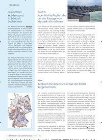 Titelbild der Ausgabe 3/2022 von Jeder fünfte Fisch stirbt bei der Passage von Wasserkraftturbinen. Zeitschriften als Abo oder epaper bei United Kiosk online kaufen.