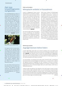 Titelbild der Ausgabe 3/2022 von Mikroplastik verbleibt in Flusssediment. Zeitschriften als Abo oder epaper bei United Kiosk online kaufen.