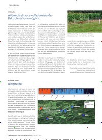 Titelbild der Ausgabe 6/2022 von Wildwechsel trotz wolfsabweisender Elektrofestzäune möglich. Zeitschriften als Abo oder epaper bei United Kiosk online kaufen.