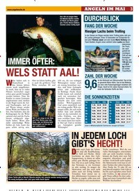 Titelbild der Ausgabe 110/2018 von IMMER ÖFTER: WELS STATT AAL!. Zeitschriften als Abo oder epaper bei United Kiosk online kaufen.