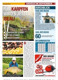 Titelbild der Ausgabe 200/2018 von FÜR KARPFEN WIRD’S JETZT IDEAL!. Zeitschriften als Abo oder epaper bei United Kiosk online kaufen.