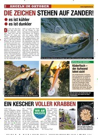 Titelbild der Ausgabe 220/2018 von DIE ZEICHEN STEHEN AUF ZANDER!. Zeitschriften als Abo oder epaper bei United Kiosk online kaufen.