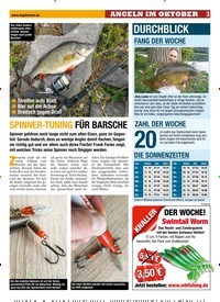 Titelbild der Ausgabe 220/2018 von SPINNER-TUNING FÜR BARSCHE. Zeitschriften als Abo oder epaper bei United Kiosk online kaufen.